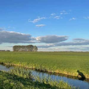 Blog: stap voor stap!