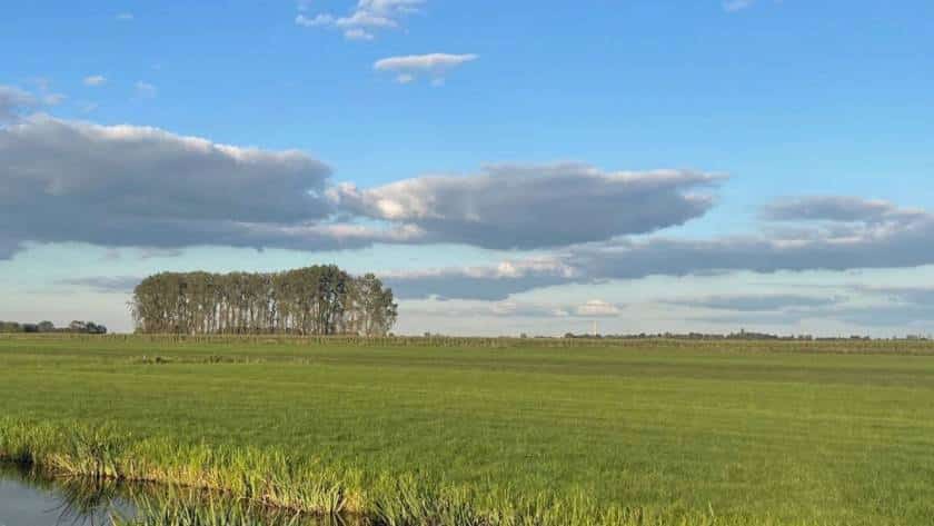 Blog: stap voor stap!