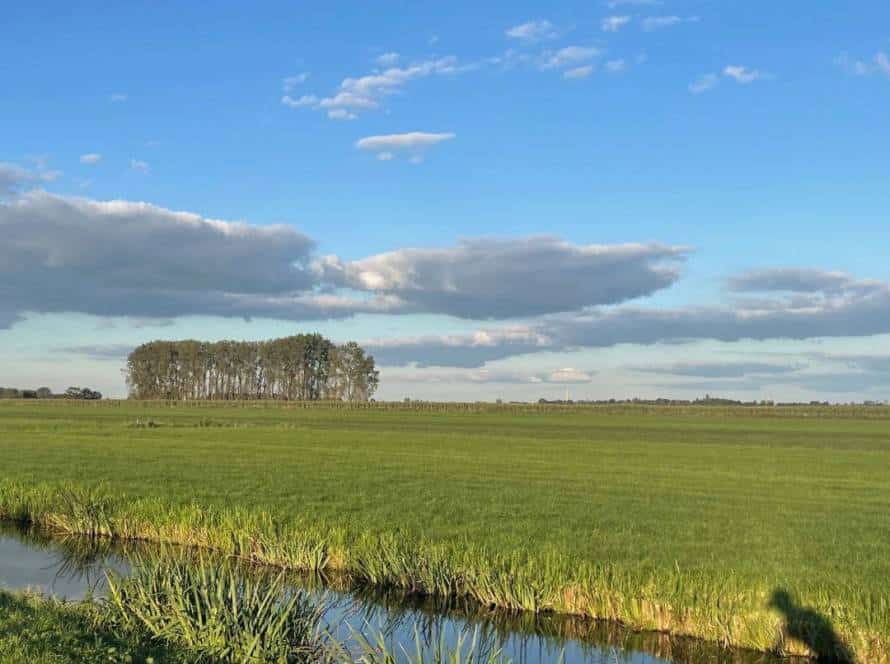 Blog: stap voor stap!